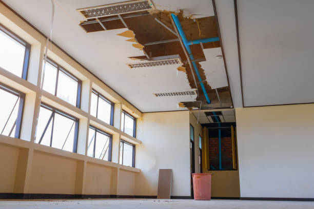 Best 24/7 water damage repair  in Albert Lea, MN