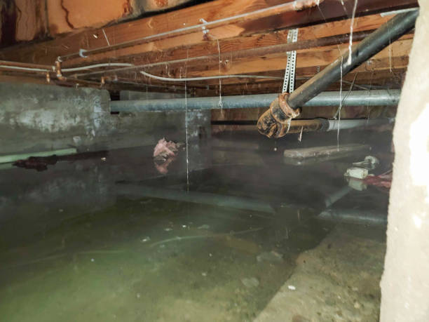 Best 24-hour water damage restoration  in Albert Lea, MN