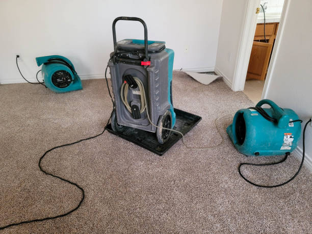 Fire Damage Restoration in Albert Lea, MN