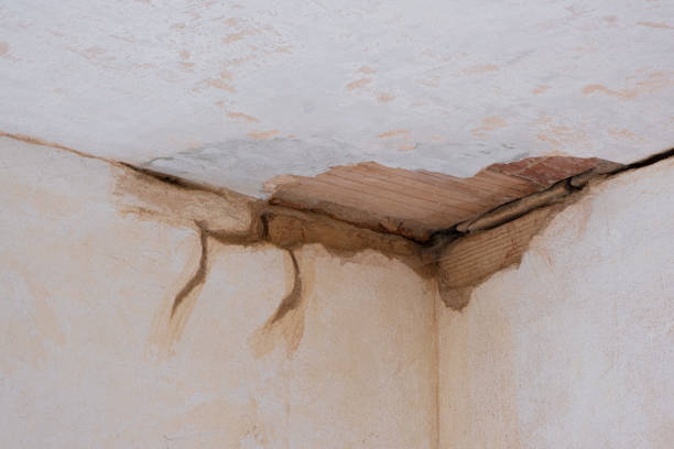 Best Fire Damage Restoration  in Albert Lea, MN