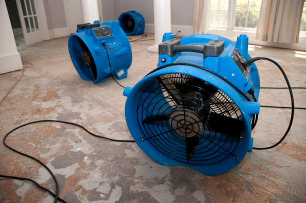 Best Water damage restoration specialists  in Albert Lea, MN