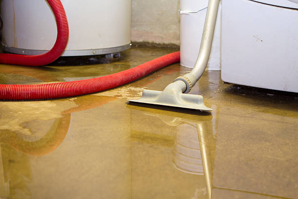 Best Emergency water extraction  in Albert Lea, MN