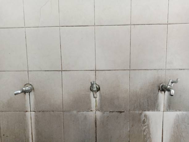Best Basement water damage restoration  in Albert Lea, MN