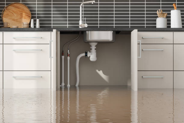 Best Emergency water damage restoration  in Albert Lea, MN