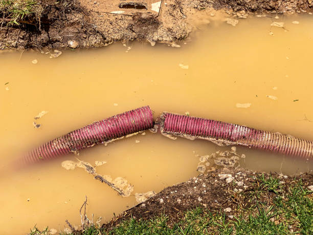 Professional Water damage restoration in Albert Lea, MN